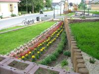 2010.04.29. Parkátadás 15