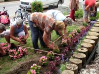 Önkéntes nap Paszabon 11