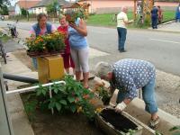 Önkéntes nap Paszabon 15