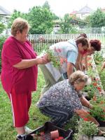 Önkéntes nap Paszabon 20