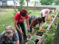 Önkéntes nap Paszabon 21