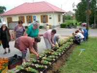 Önkéntes nap Paszabon 23